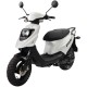 PGO Big Max