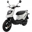 PGO Big Max